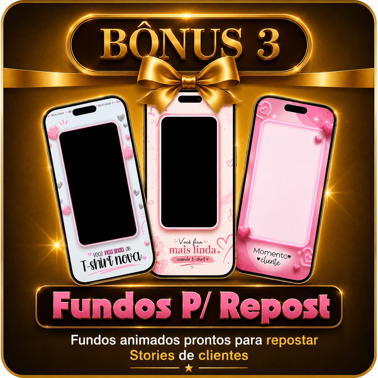 Bônus 3: fundos para repost